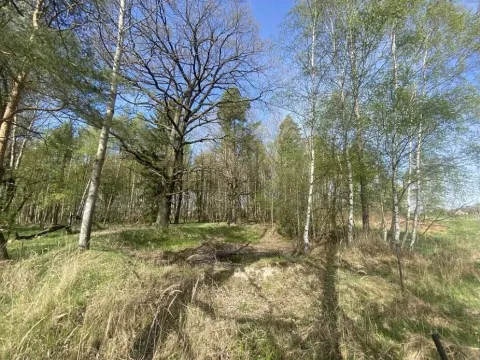 Prodej pozemku, Hranice, 1061 m2