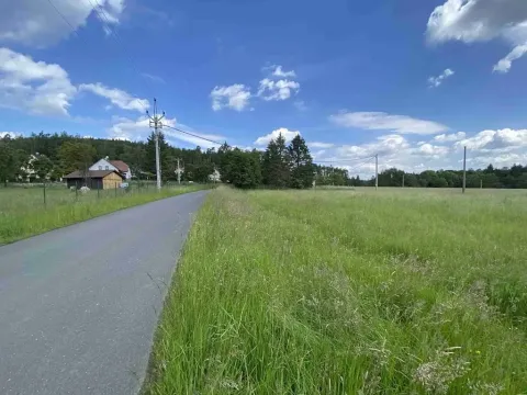 Dražba pole, Planá, 1400 m2