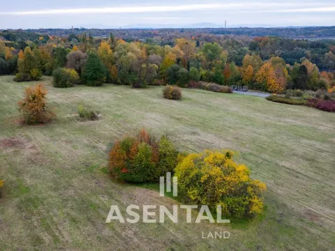 Prodej pozemku, Orlová - Město, Pod Lipou, 43470 m2
