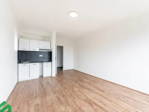 Pronájem bytu 1+kk, Praha - Břevnov, Na břevnovské pláni, 27 m2