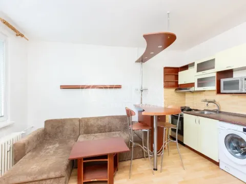 Pronájem bytu 1+1, Tábor, Leskovická, 37 m2