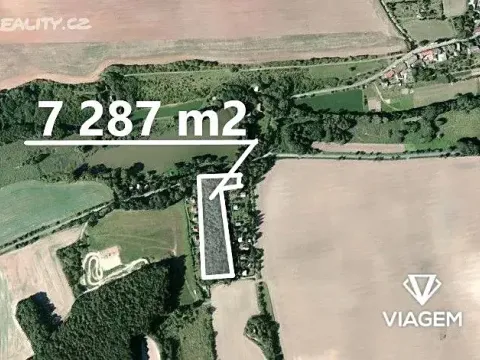 Prodej lesa, Pozdeň, 7241 m2