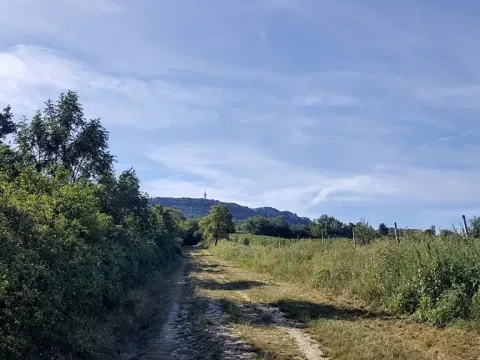 Prodej pozemku pro bydlení, Dolní Věstonice, 834 m2