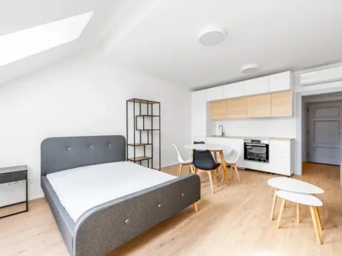 Pronájem bytu 1+kk, Praha - Karlín, Březinova, 38 m2