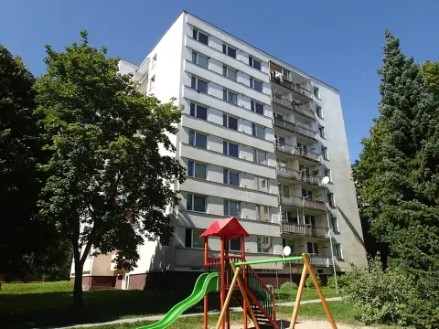Pronájem bytu 1+1, Hlinsko, Družstevní, 46 m2