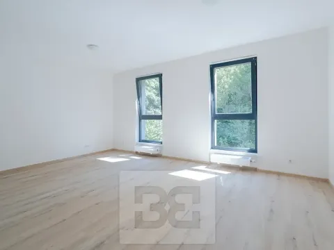 Pronájem bytu 1+kk, Liberec, Vítězná, 37 m2