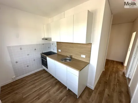 Pronájem bytu 2+1, Duchcov, Družby, 52 m2