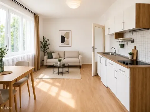 Pronájem bytu 1+kk, Praha - Nové Město, Biskupský dvůr, 26 m2