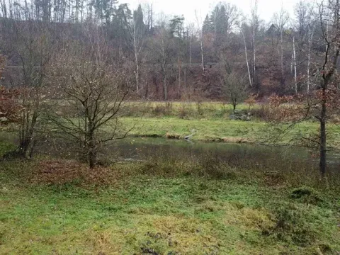 Dražba louky, Světlá nad Sázavou, 8621 m2