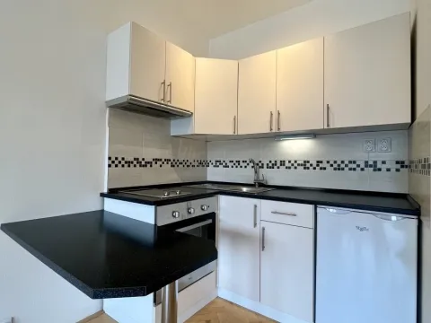 Pronájem bytu 1+kk, Ostrava - Slezská Ostrava, Bohumínská, 27 m2