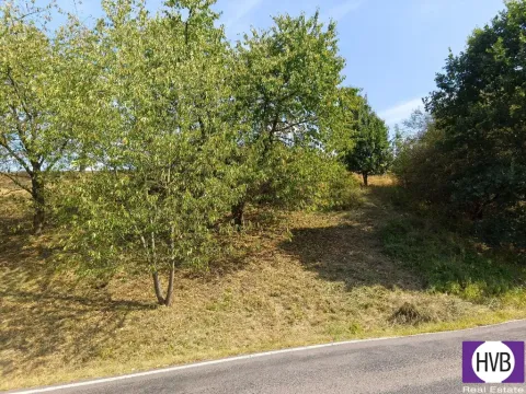 Prodej sadu/vinice, Synkov-Slemeno, 1229 m2