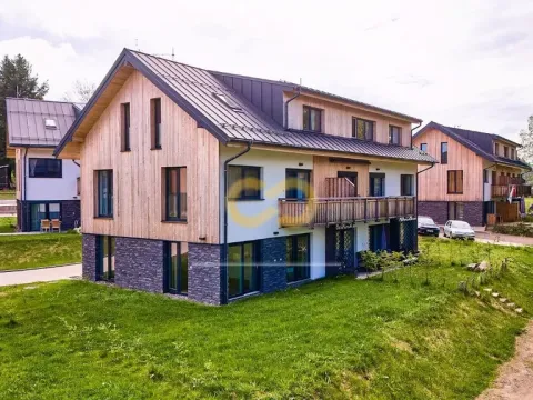 Prodej bytu 1+kk, Černá v Pošumaví, 33 m2