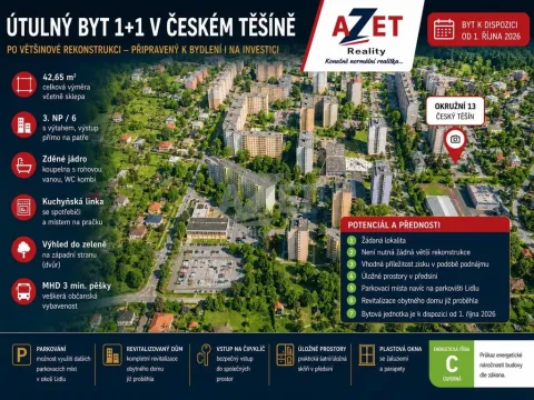 Prodej bytu 1+1, Český Těšín, Okružní, 41 m2