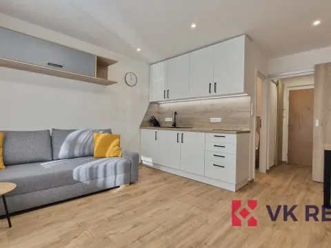Pronájem bytu 1+kk, Plzeň - Jižní Předměstí, Raisova, 27 m2