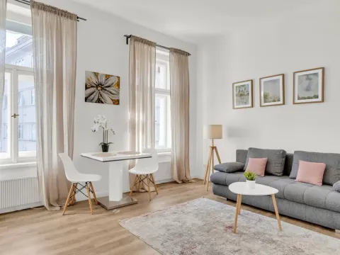 Prodej bytu 2+kk, Praha, Petrská, 42 m2