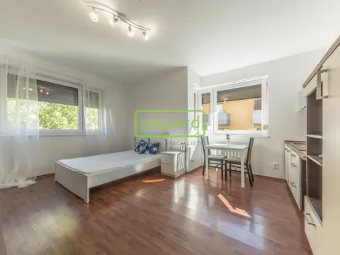Pronájem bytu 1+kk, Říčany, Na Výsluní, 31 m2