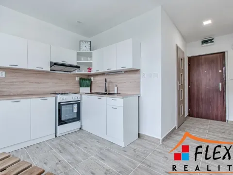 Pronájem bytu 1+1, Frýdek-Místek - Frýdek, K Hájku, 36 m2