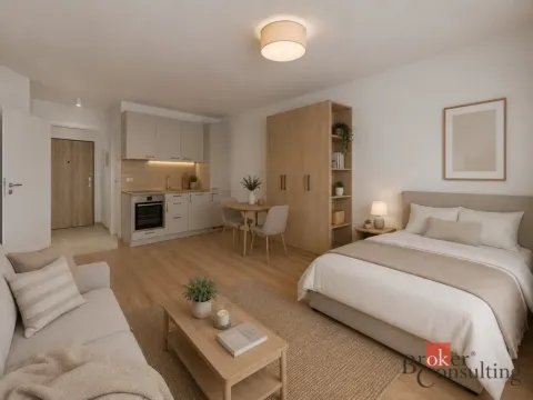 Prodej bytu 1+kk, Plzeň - Jižní Předměstí, Železná, 37 m2