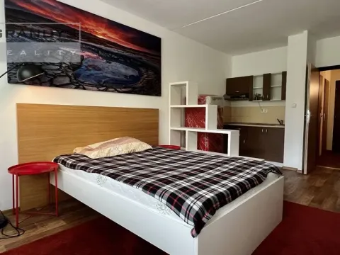 Pronájem bytu 1+kk, Praha - Modřany, Platónova, 29 m2