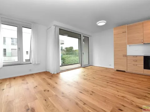 Pronájem bytu 2+kk, Praha - Radlice, U Komína, 47 m2