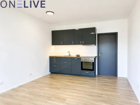 Pronájem bytu 1+kk, Zbůch, 32 m2