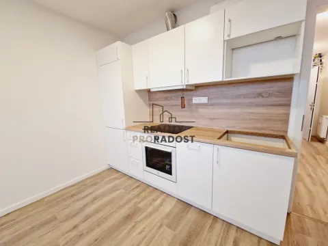 Pronájem bytu 4+kk, Brno, Antonínská, 100 m2