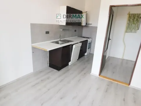 Pronájem bytu 1+1, Plzeň - Doudlevce, Révová, 48 m2