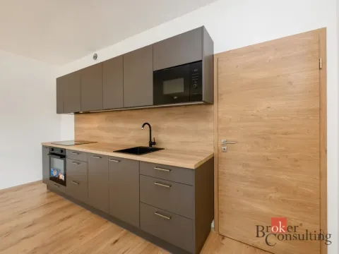 Pronájem bytu 2+kk, Plzeň - Jižní Předměstí, Železná, 56 m2