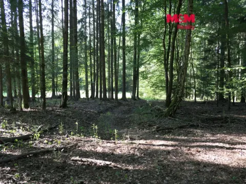 Prodej lesa, Chyňava - Lhotka u Berouna, 7138 m2
