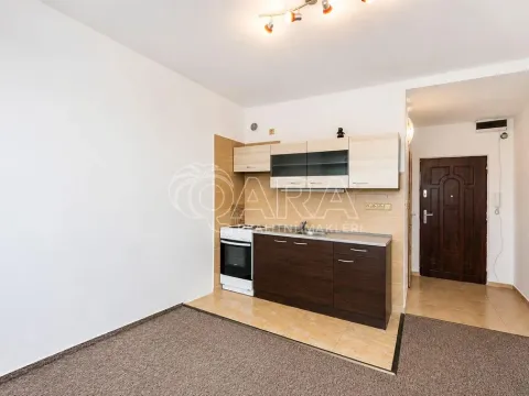 Prodej bytu 1+kk, Tábor, Petrohradská, 19 m2