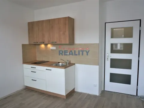 Pronájem bytu 1+kk, České Budějovice - České Budějovice 3, Pekárenská, 20 m2