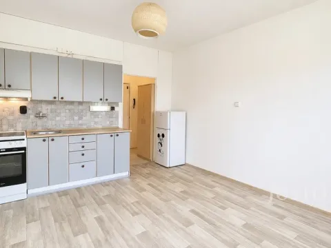 Pronájem bytu 1+kk, Písek - Budějovické Předměstí, 17. listopadu, 19 m2