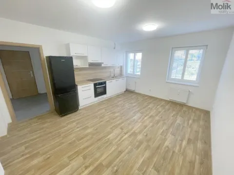Pronájem bytu 2+kk, Most, Hollarova, 45 m2