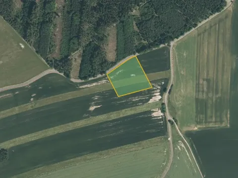 Prodej pole, Biřkov, 6983 m2