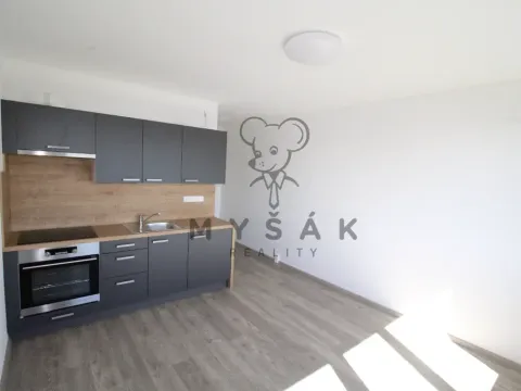 Pronájem bytu 1+kk, České Budějovice - České Budějovice 3, U Trojice, 21 m2