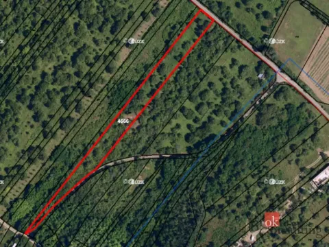 Prodej zahrady, Dolní Kounice, Stráně, 4535 m2