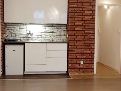Pronájem bytu 1+kk, Ostrava - Moravská Ostrava, U Parku, 30 m2