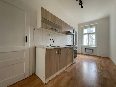 Pronájem bytu 1+1, Praha - Žižkov, Hájkova, 41 m2