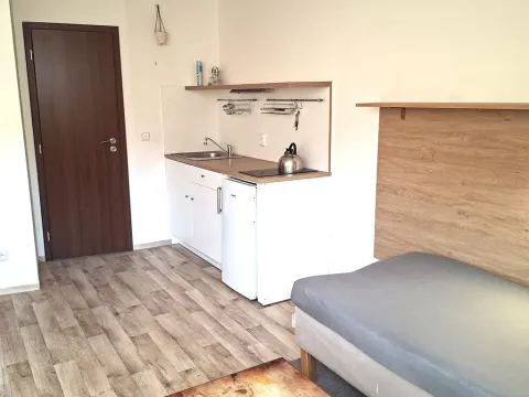 Pronájem bytu 1+kk, Znojmo, U Branky, 28 m2