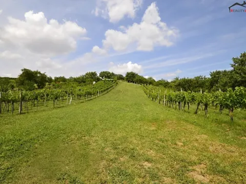 Prodej sadu/vinice, Bzenec, 2460 m2