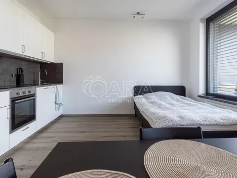 Pronájem bytu 1+kk, Praha - Žižkov, Olgy Havlové, 33 m2