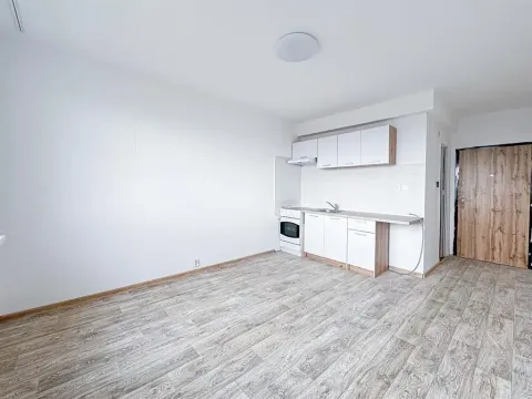 Pronájem bytu 1+1, Jirkov, Generála Svobody, 33 m2