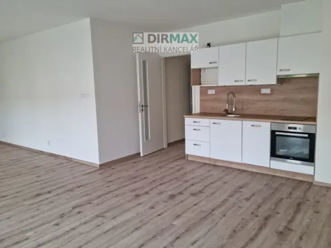 Pronájem bytu 1+kk, Plzeň, Resslova, 57 m2