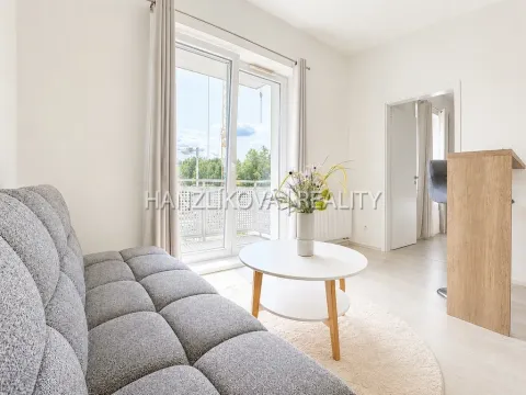 Prodej bytu 2+kk, České Budějovice - České Budějovice 2, U Boru, 40 m2