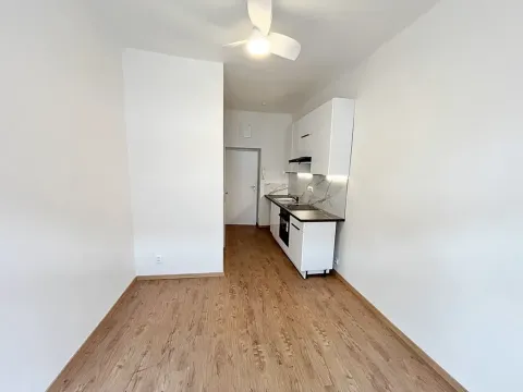 Pronájem bytu 1+kk, Praha - Smíchov, Rozkošného, 16 m2