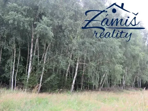 Prodej lesa, Pohledy, 7200 m2