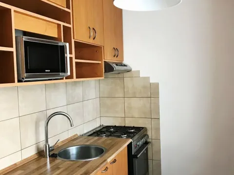 Pronájem bytu 1+1, Ostrava, U Lesa, 34 m2