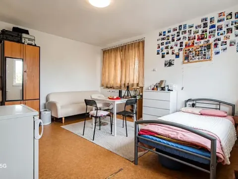 Pronájem pokoje, Havlíčkův Brod, Na Losích, 20 m2