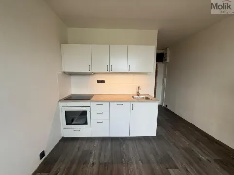 Pronájem bytu 1+1, Most, Marš. Rybalka, 35 m2