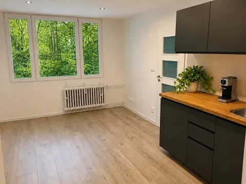 Prodej bytu 2+kk, Praha - Krč, Hurbanova, 41 m2
